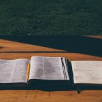 pexels-photo-26393-large